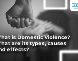 What is Domestic Violence? What are its types, causes, and effects?